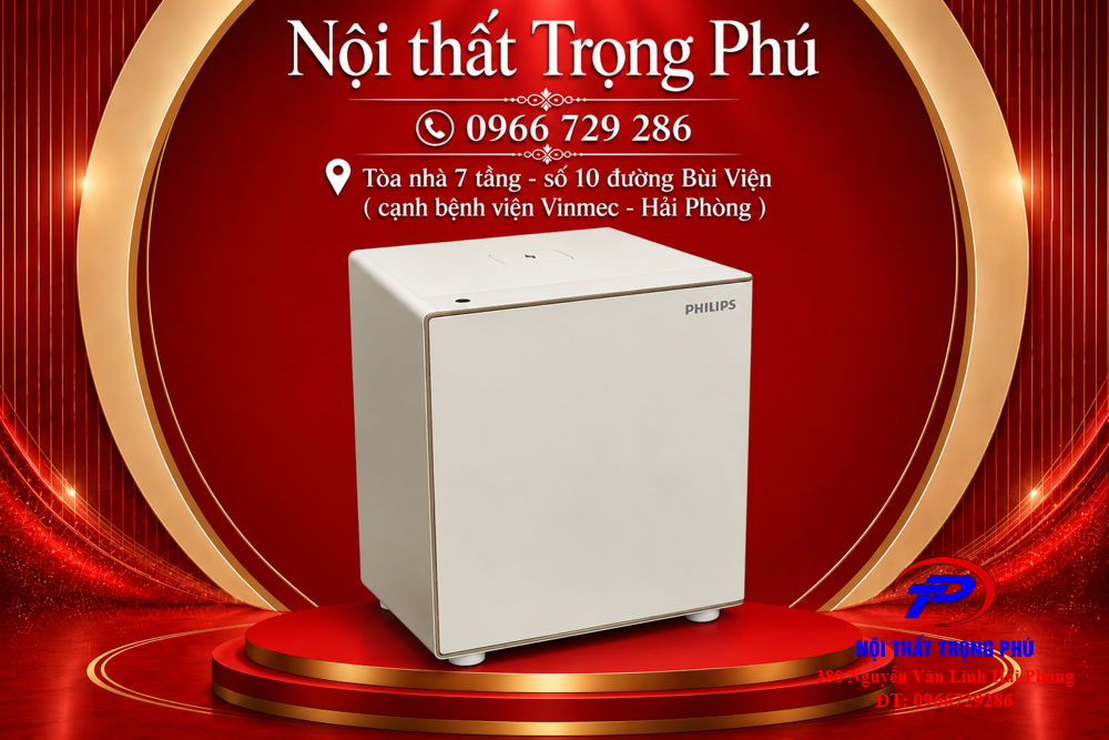 KÉT SẮT ĐẦU GIƯỜNG PHILIPS SBX300